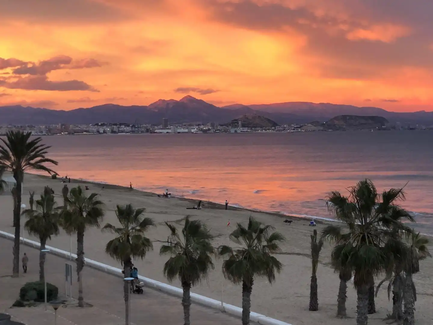 Apartament amb terrassa en venda a San Gabriel - Palmeral - Urbanova, imagen 24