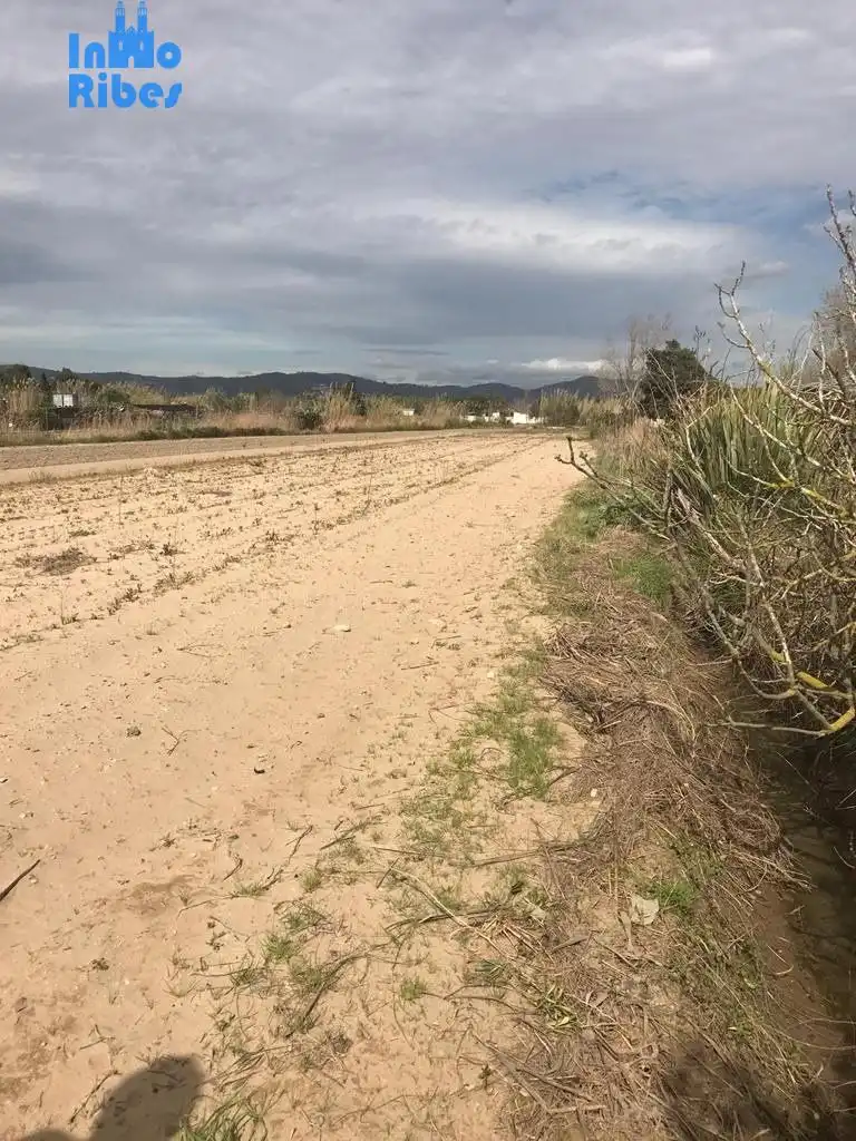 Terreny rústic en venda a Gavà Mar, imagen 4