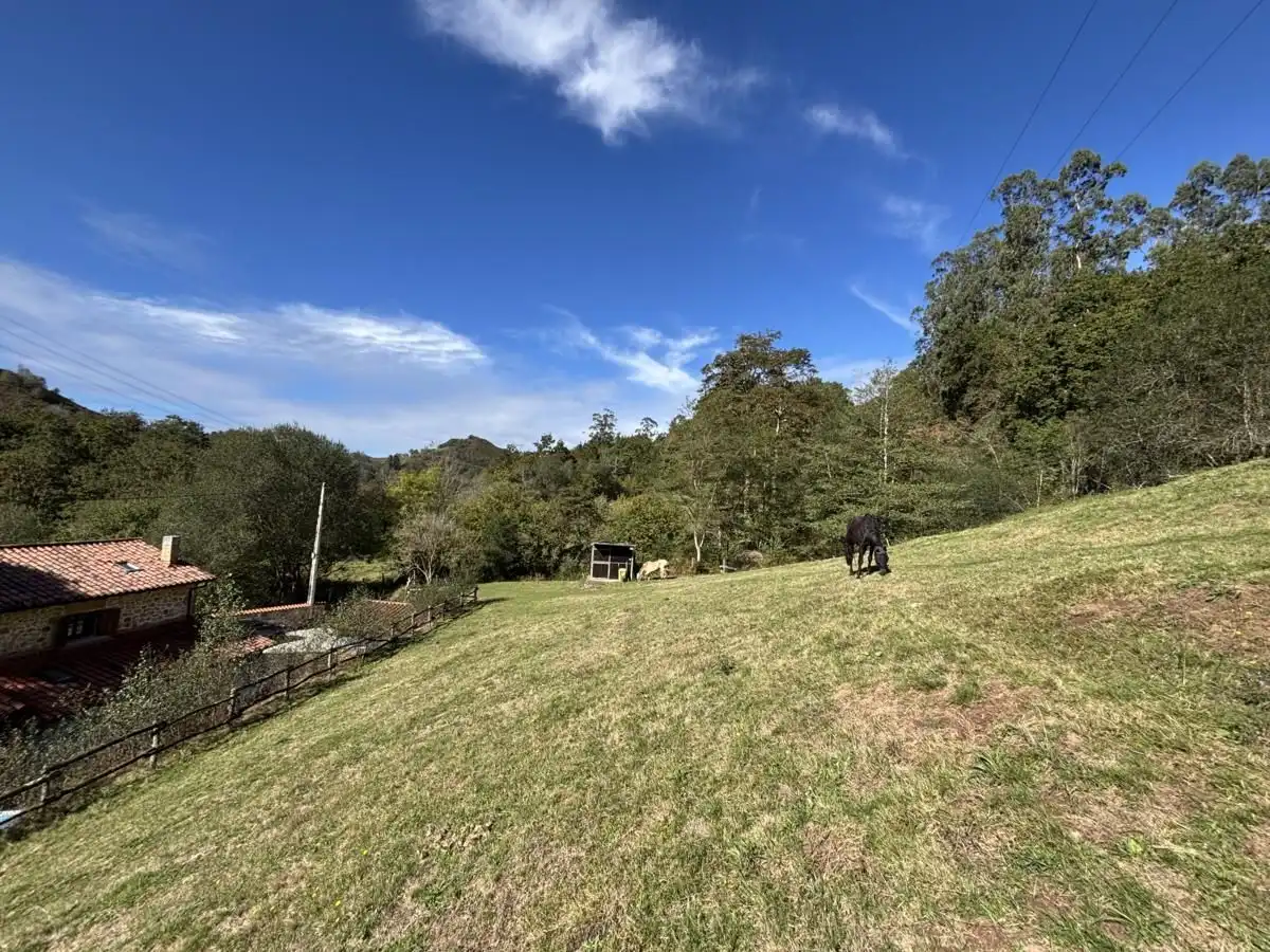 Casa o chalet en venta en Cabrales, Asturias