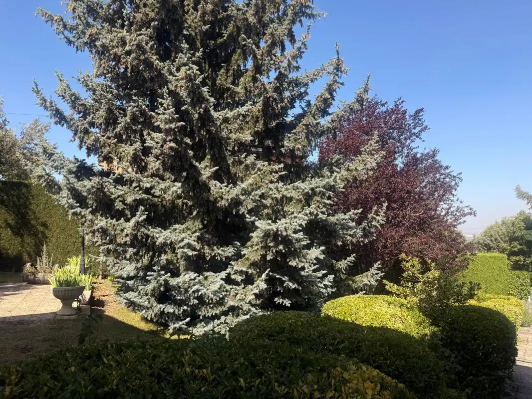 Jardí de Finca rústica en venda en El Espinar amb Calefacció, Jardí privat i Terrassa