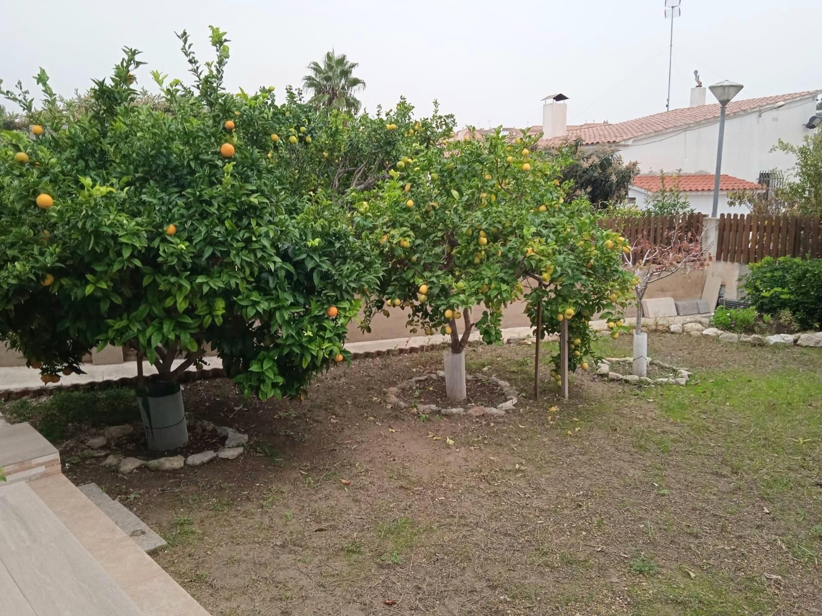Jardí de Casa o xalet en venda en La Pobla de Montornès   amb Calefacció, Jardí privat i Terrassa