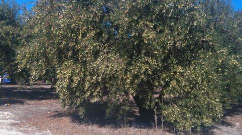 Foto 4 von Grundstücke zum Verkauf in C/ Assagador, Benicolet, Valencia