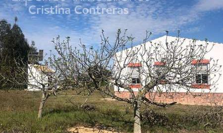 Foto 4 de Finca rústica en venda a Almonte ciudad, Almonte