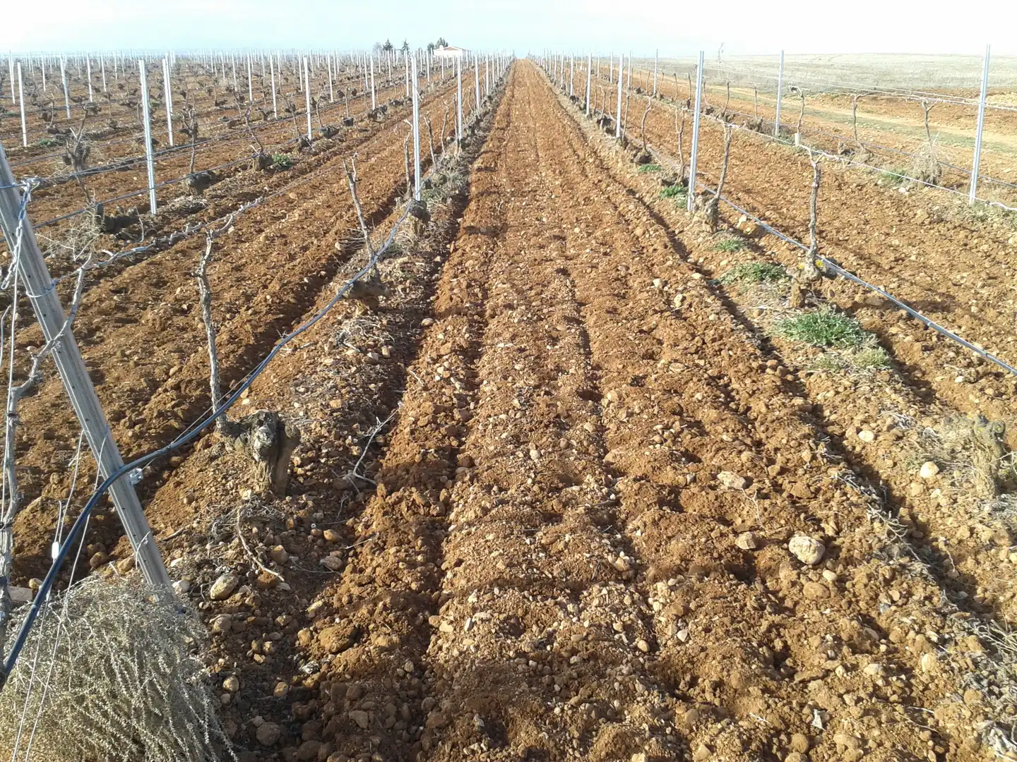 Terreny rústic en venda a Autovía de Extremadura a la Comunidad Valenciana, imagen 2