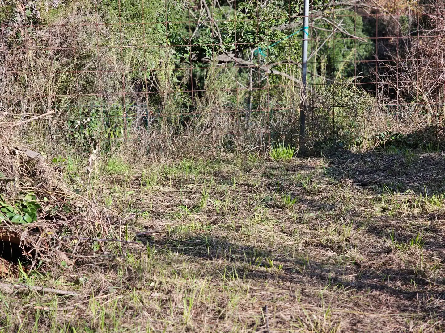 Wohnbaugrundstück zum Verkauf in Corbera de Llobregat, imagen 10