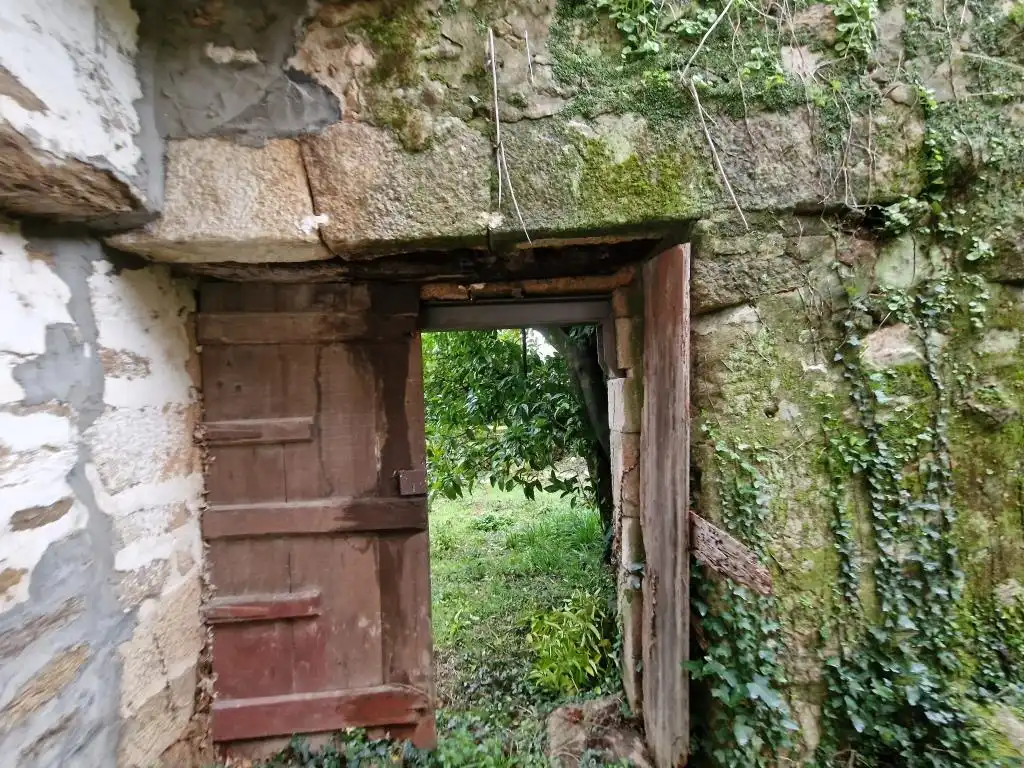 Finca rústica en venta en Ribadavia