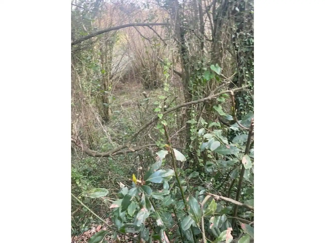 Residential for sale in Piélagos
