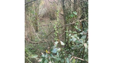 Photo 5 of Residential for sale in Avenida Luis de la Concha, Renedo, Piélagos