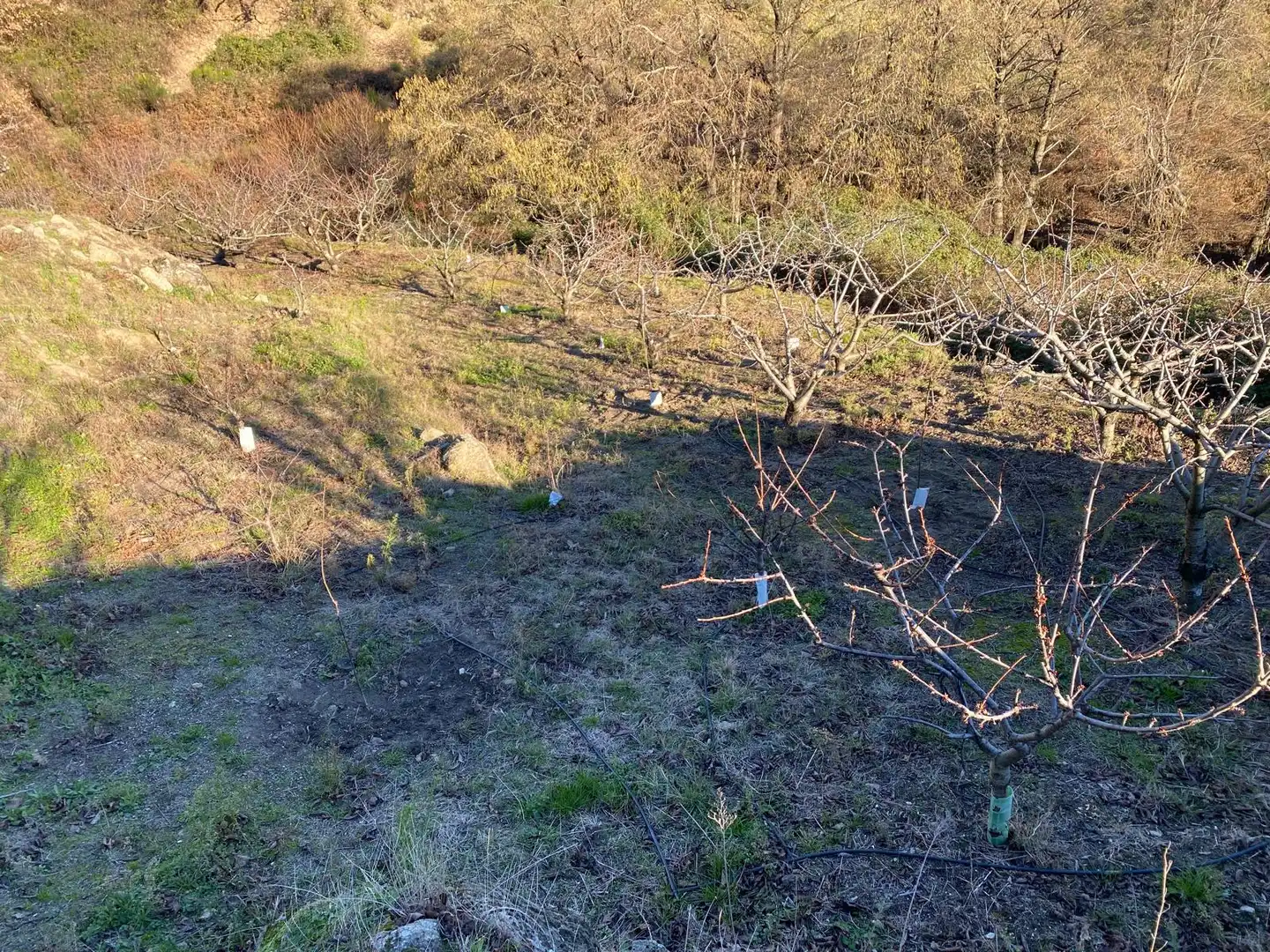 Terreni e lotti in vendita a El Torno, imagen 8