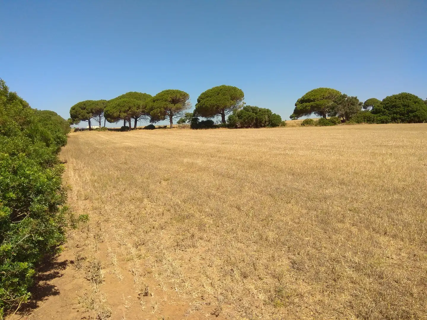 Terreno rustico in vendita a Puntales - Zona Franca, imagen 2