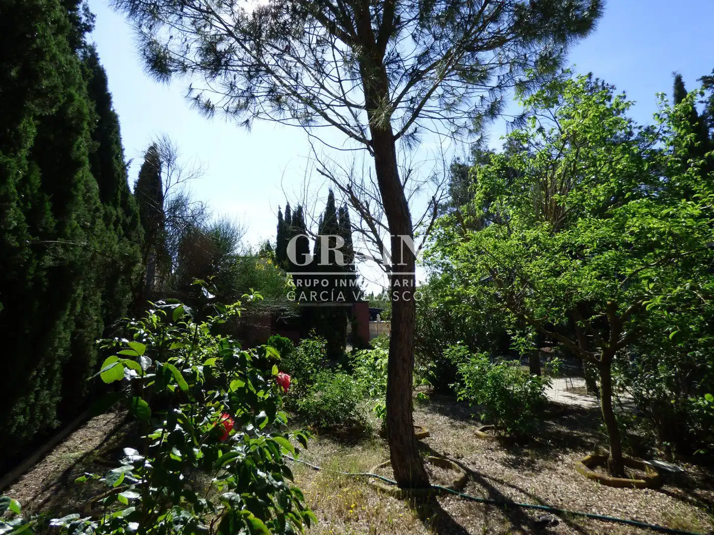 Jardí de Casa o xalet en venda en Albacete amb Aire condicionat, Jardí privat i Traster