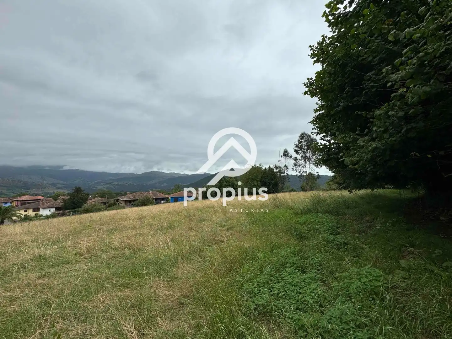 Rural land for sale in Arenas, imagen 22