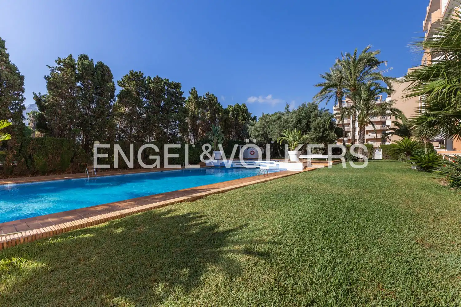 Swimming pool of Flat for rent in Dénia  with Air Conditioner, Heating and Parquet flooring