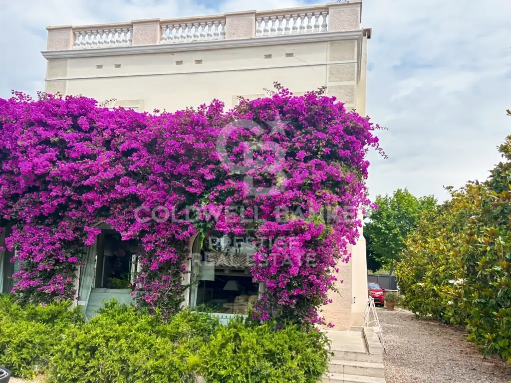 Exterior view of Houses for sale in El Masnou  with Swimming Pool