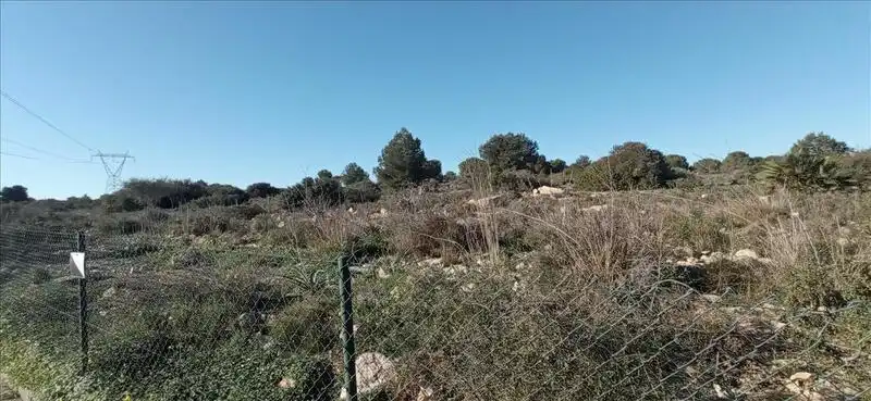 Land for sale in Los Montesinos