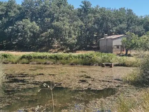 Terreni e lotti in vendita a Jarandilla de la Vera