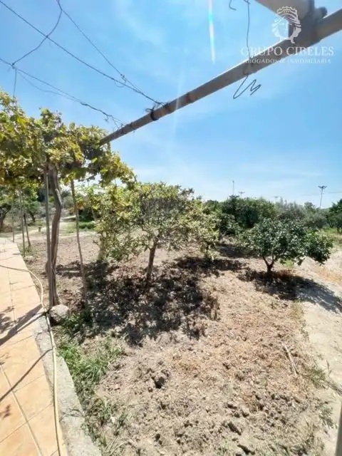 Finca rústica en venta en Pechina