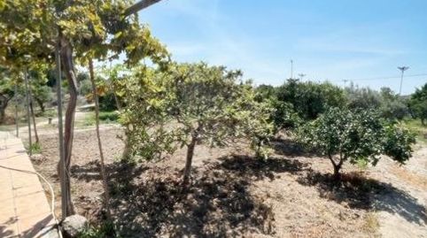 Photo 5 of Country homes for sale in Pechina, Almería