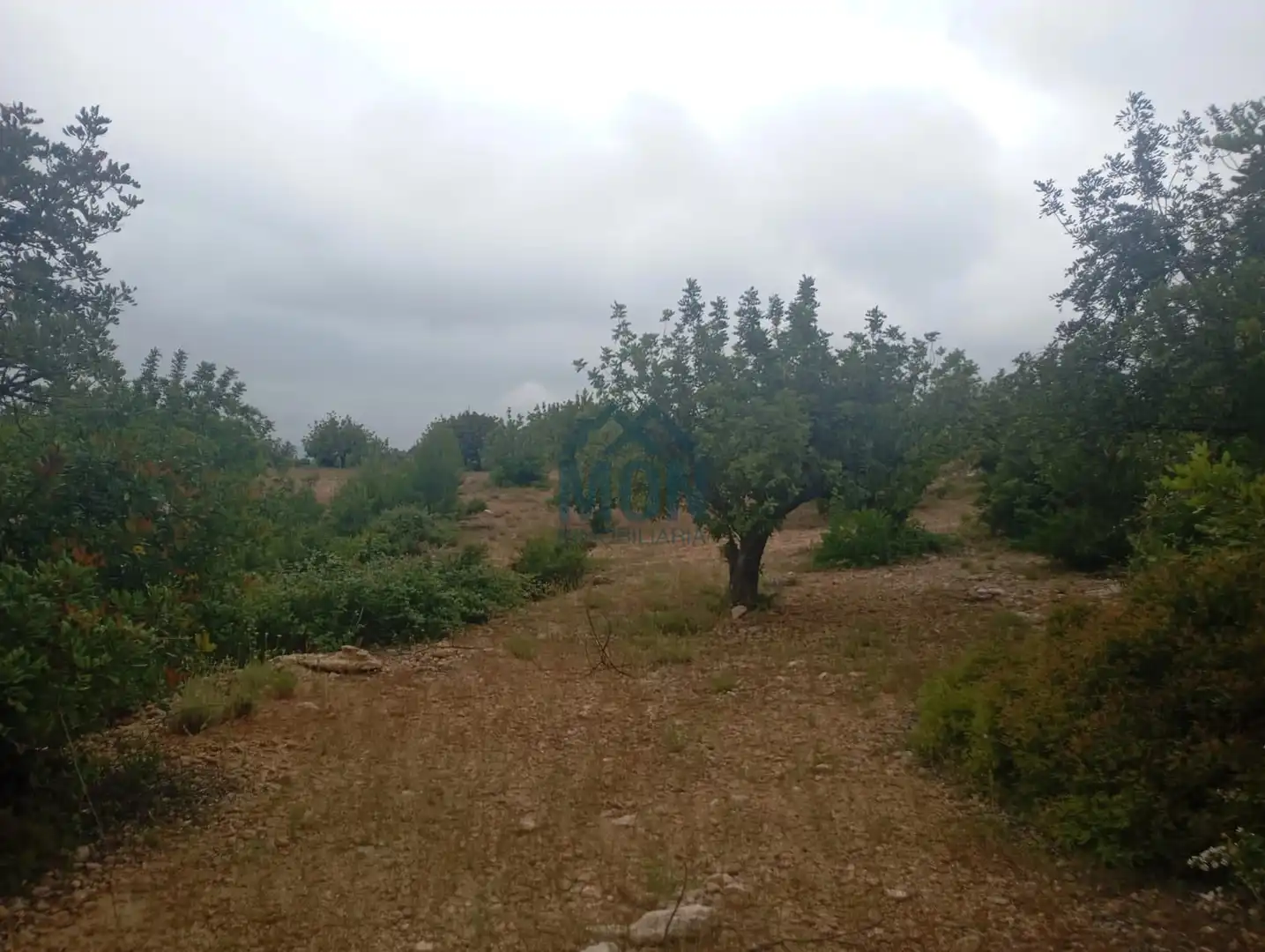 Terreno rustico in vendita a Buñol, imagen 18