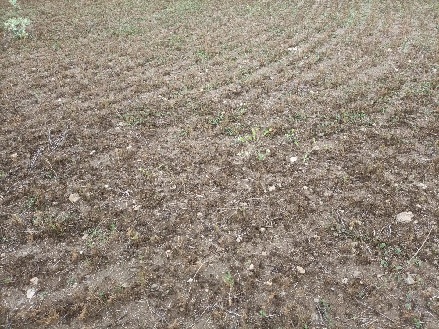 Terrain rustique à vendre à Mora, imagen 5