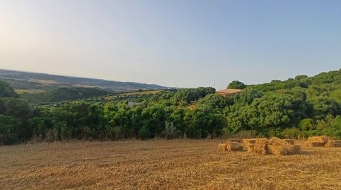 Foto 3 de Terreno en venta en Polígono 55 Parcela 240 Lugar Patria, Vejer, Vejer de la Frontera