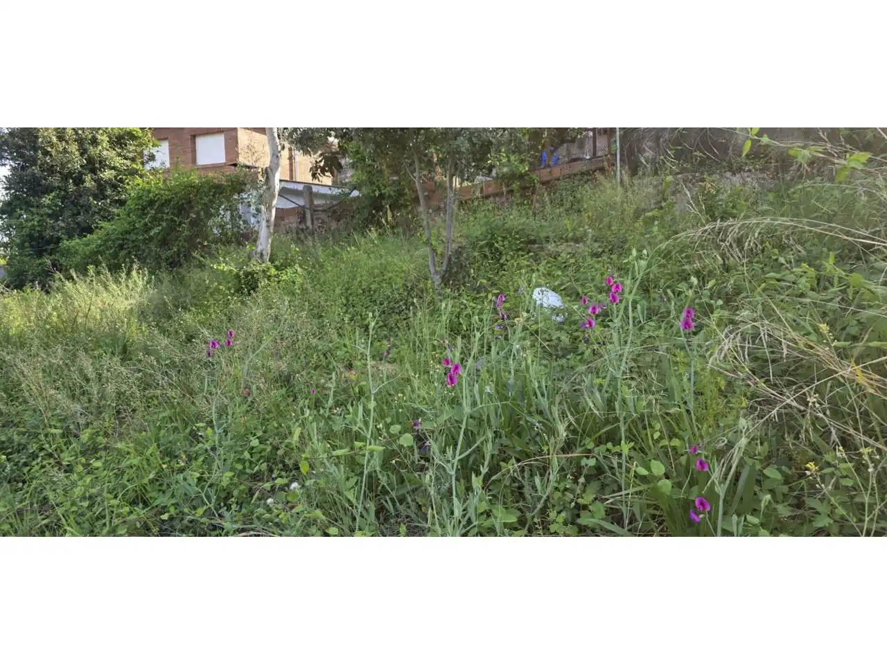 Wohnbaugrundstück zum Verkauf in Bigues i Riells del Fai, imagen 45