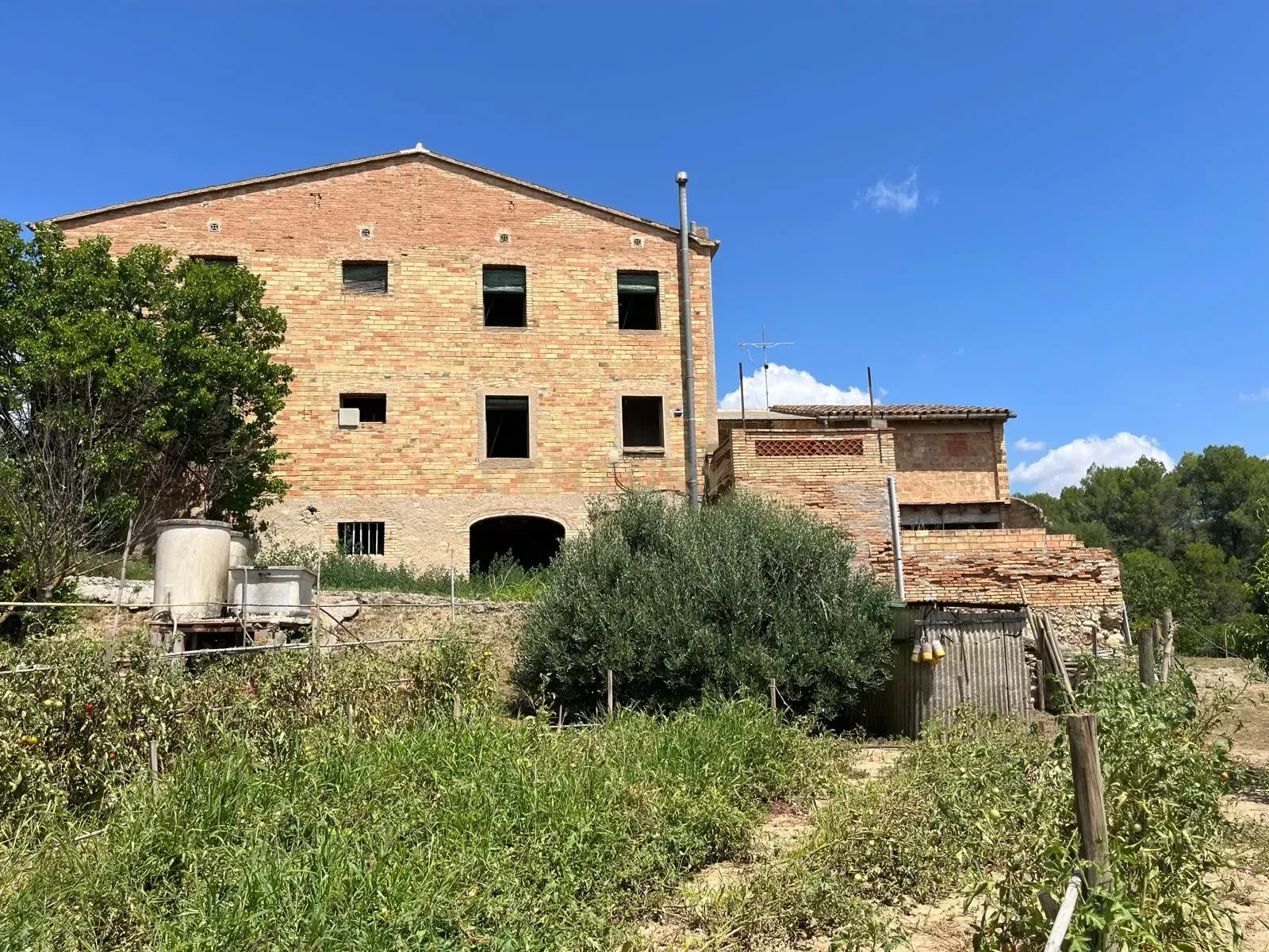 Exterior view of House or chalet for sale in El Pla del Penedès