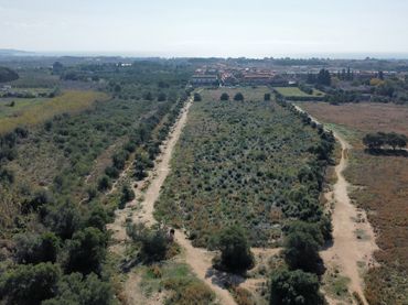 Terreny rústic en venda a Vila-seca Poble