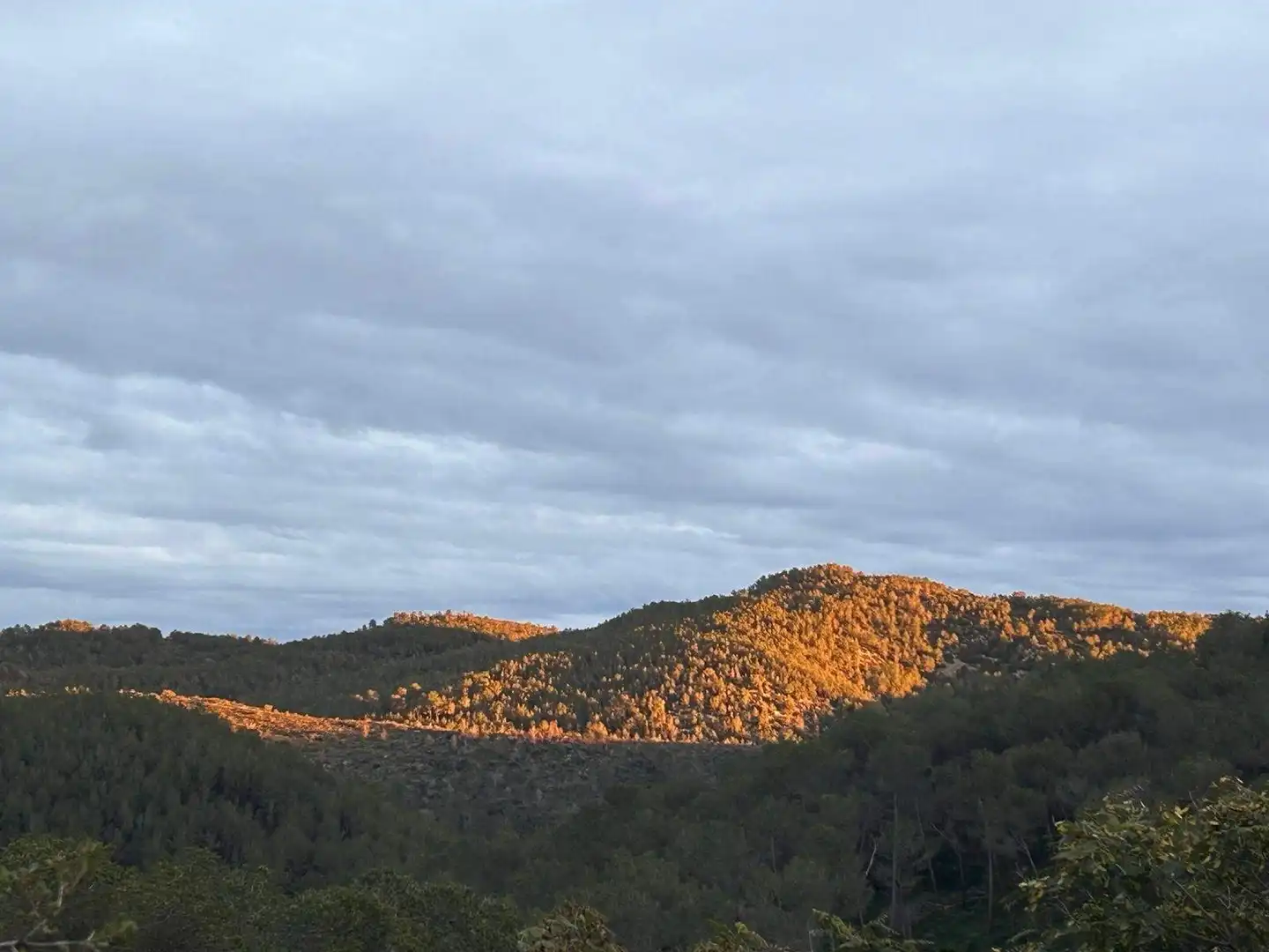 Vista exterior de Pis de lloguer en Sant Pere de Ribes amb Aire condicionat, Jardí privat i Terrassa
