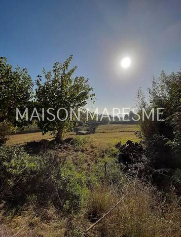 Terreno en Venta en Zona alta