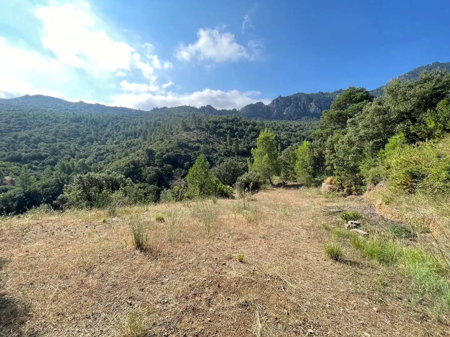 Casa o xalet en venda a CONCA DE SANT JULIA, Alfara de Carles