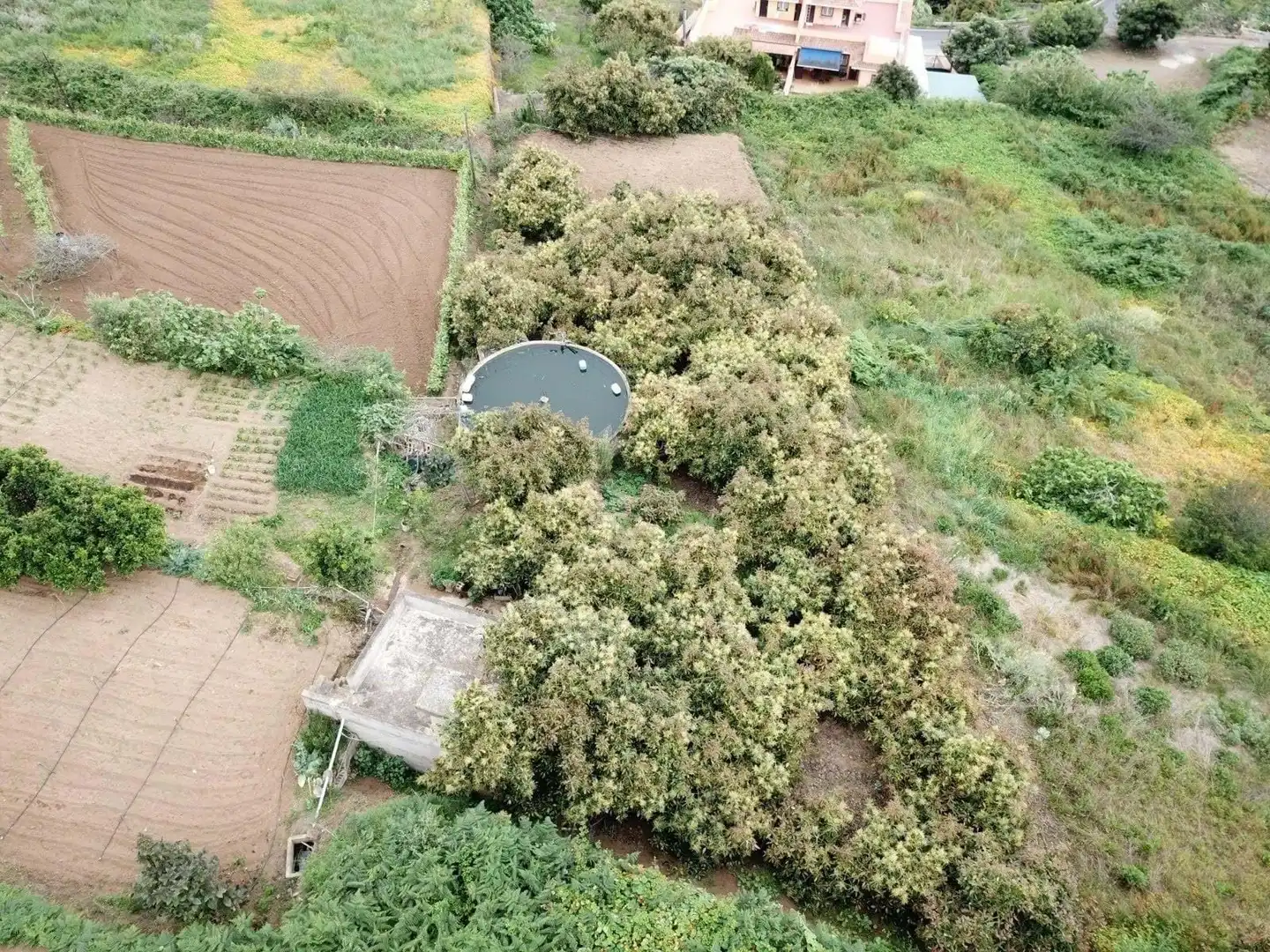 Finca rústica en venta en Los Realejos
