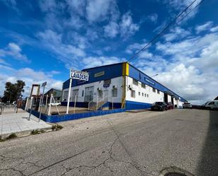 Exterior view of Industrial buildings for sale in Badajoz Capital
