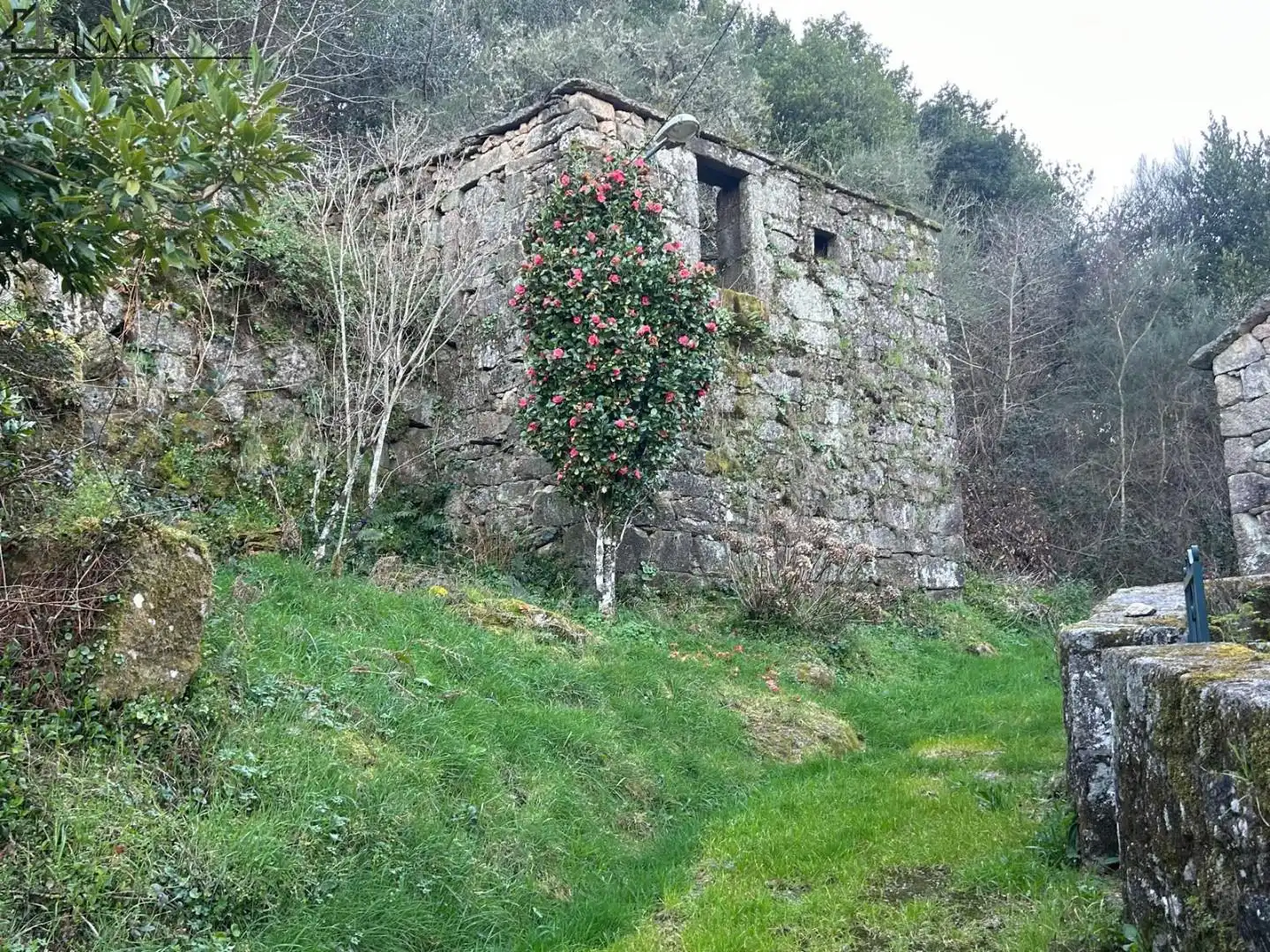 Vista exterior de Casa o xalet en venda en Cerdedo amb Jardí privat i Traster