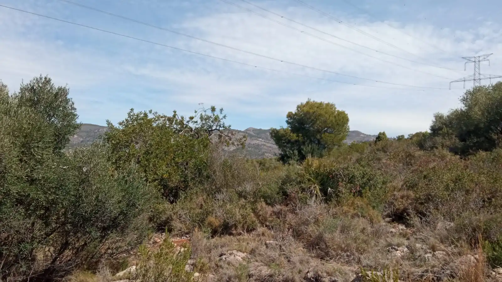 Residential land for sale in Poligono 11, imagen 4