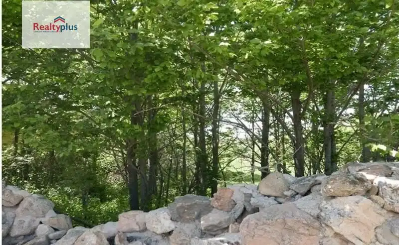 Terreni e lotti in vendita a El Cerro - Carretera de San Rafael, imagen 20