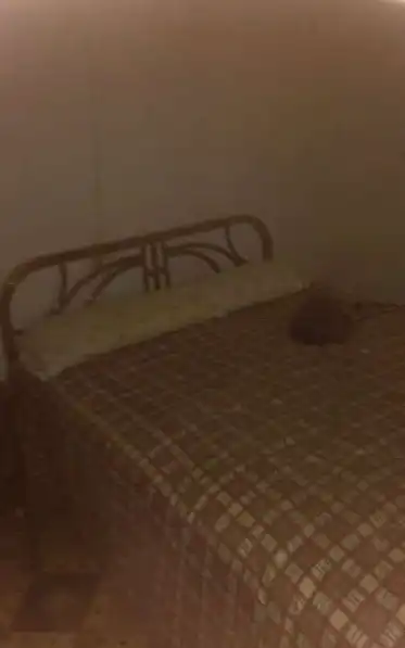 Bedroom of Houses for sale in El Viso