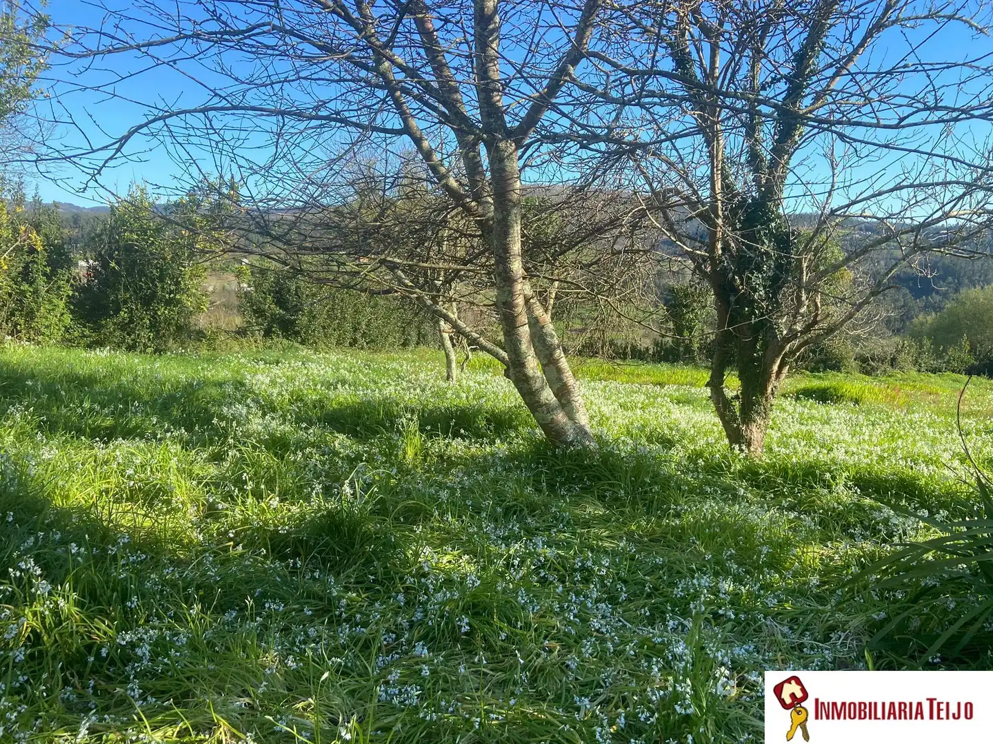 Houses for sale in Neda  with Private garden