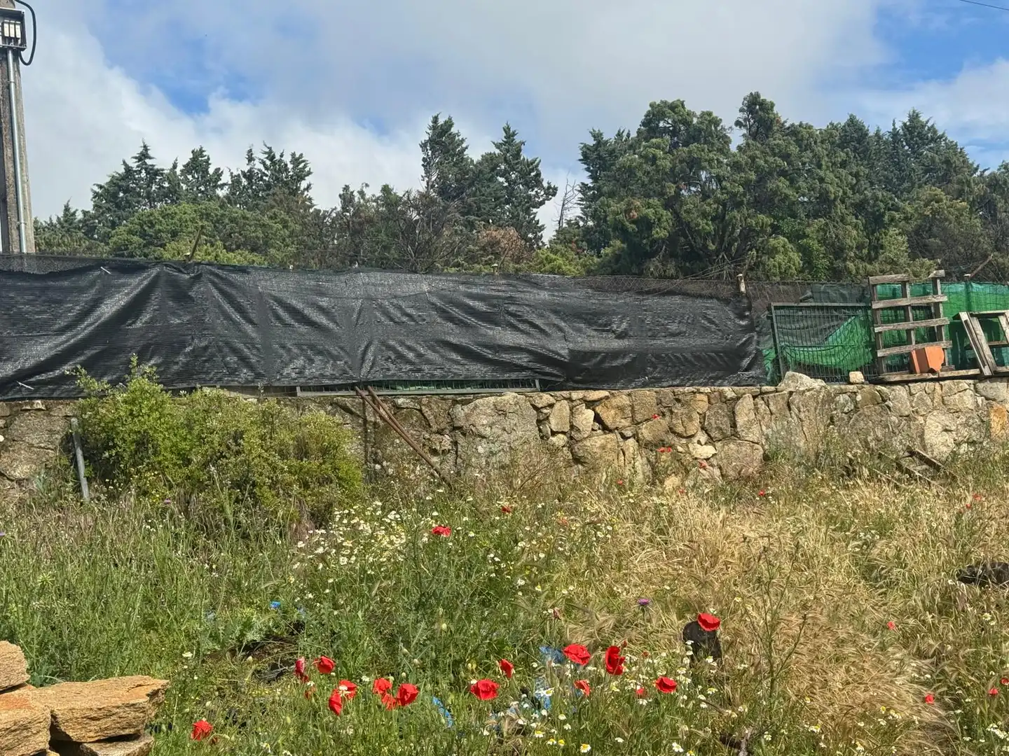 Garden of Residential for sale in Fresnedillas de la Oliva