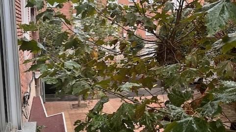 Foto 5 de Pis en venda a Calle Sorozábal, 2, Cuatro de Marzo, Valladolid Capital