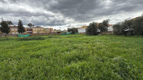 Foto 2 von Residential zum Verkauf in El Cerro de Andévalo, Huelva