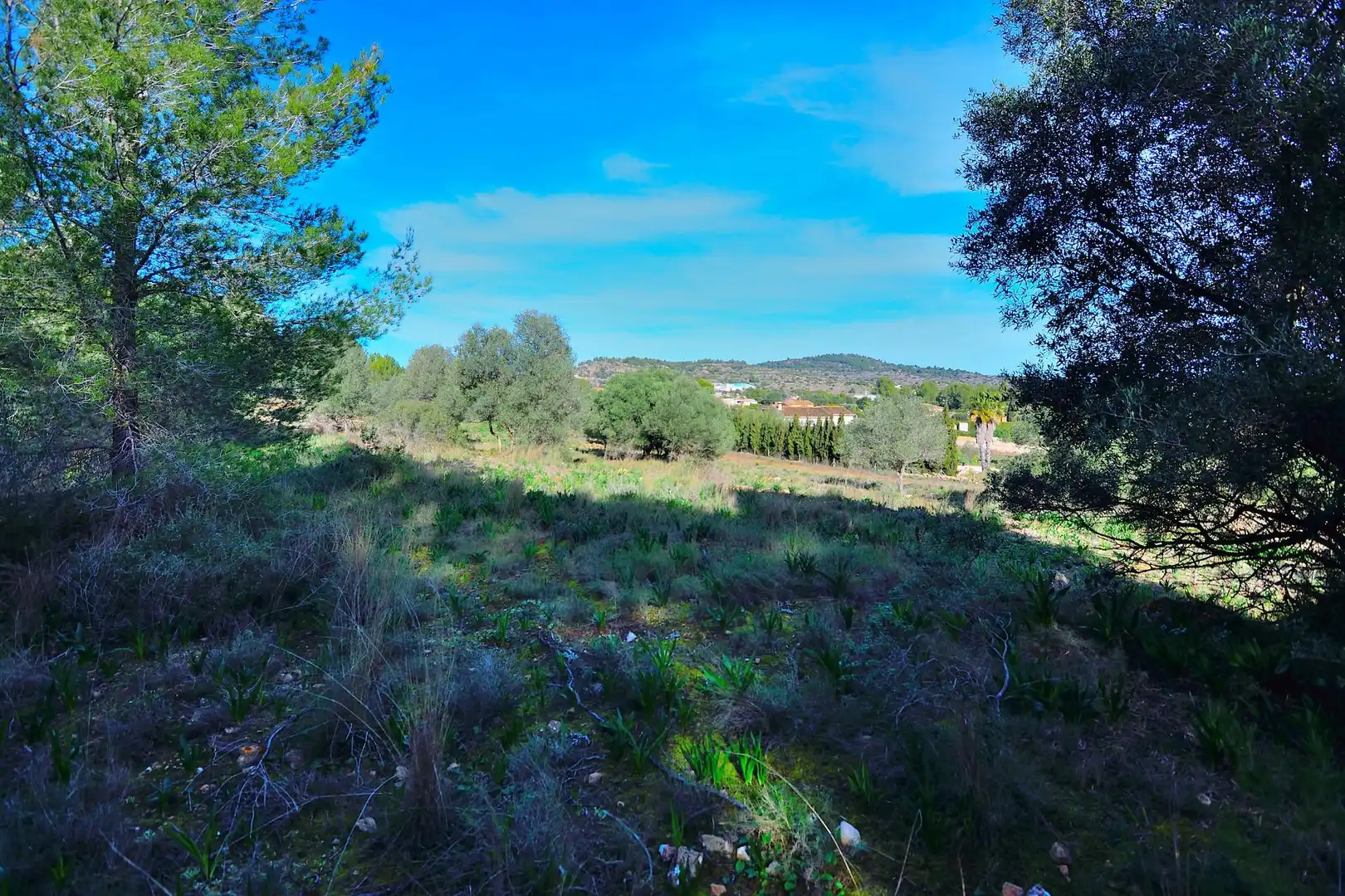 Casa rústica en venda a Benissa pueblo, imagen 3