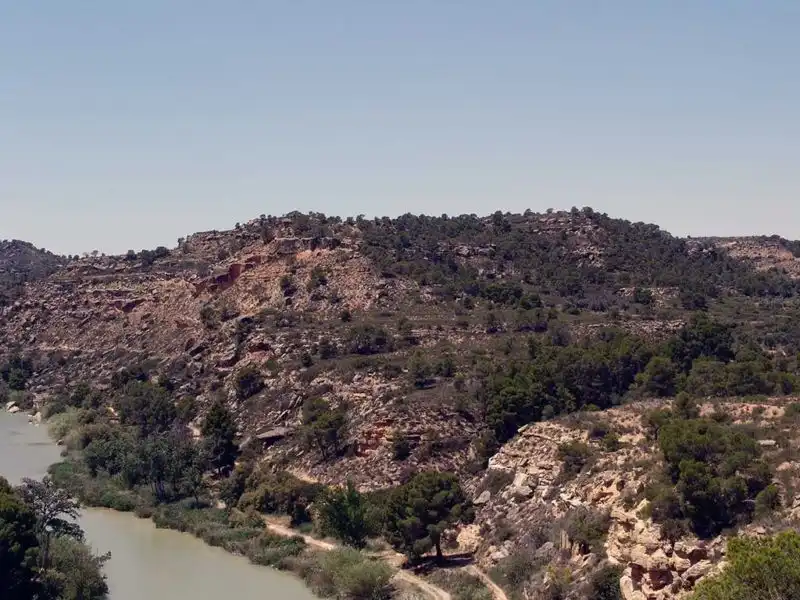 Finca rústica en venta en Alcañiz