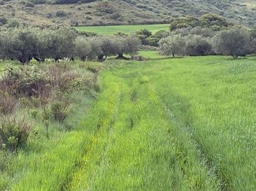 Terreno rustico in vendita a Lardero