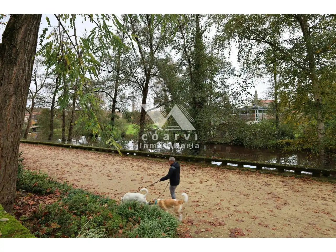 Maison avec jardin à vendre à Paseo Alameda, imagen 5