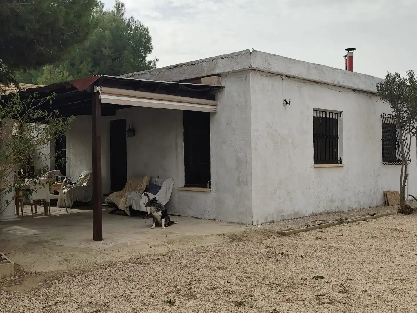 Vista exterior de Casa o xalet en venda en Elche / Elx amb Jardí privat i Moblat