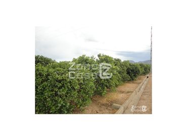 Country house for sale in Poligono Numero 13 Alcocera