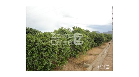 Finca Rustica  Venta Polinyà de Xúquer