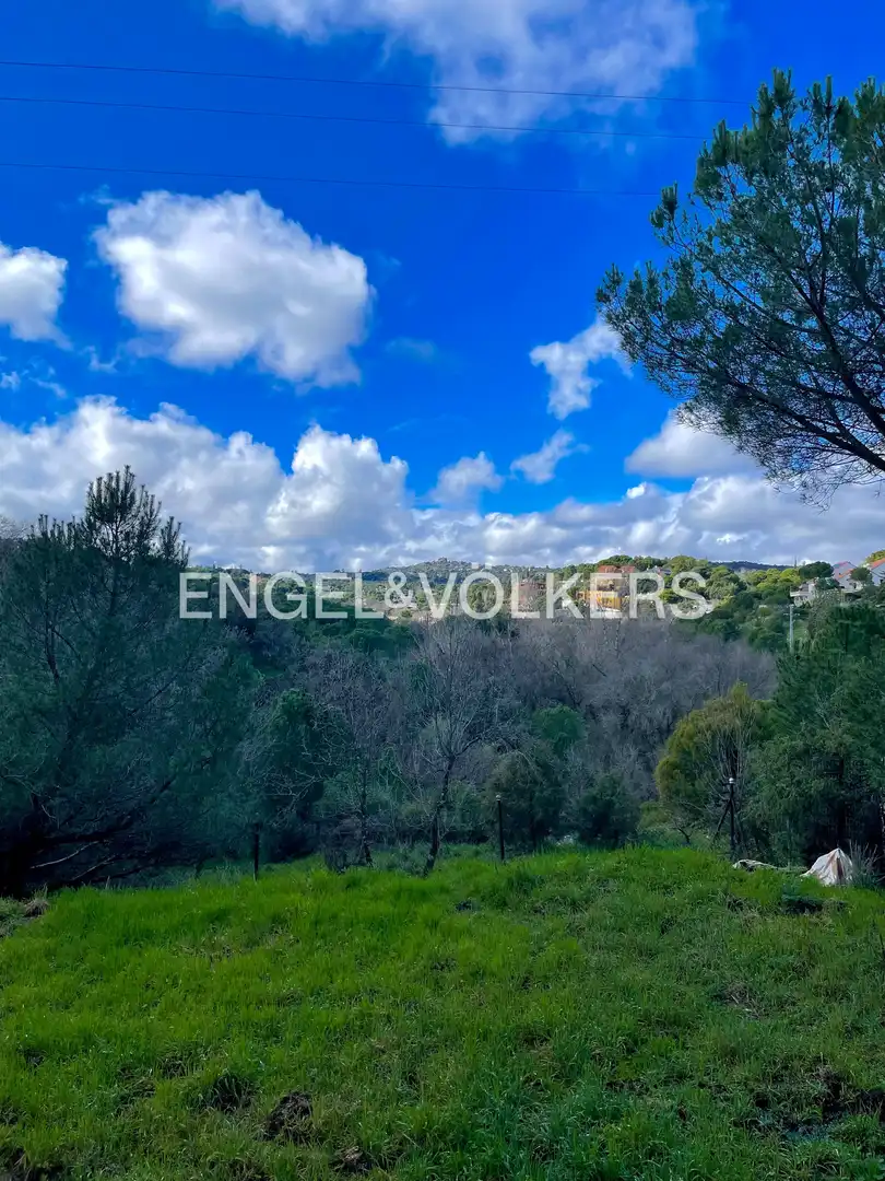 Casa o xalet en venda en Las Rozas de Madrid amb Calefacció, Jardí privat i Piscina