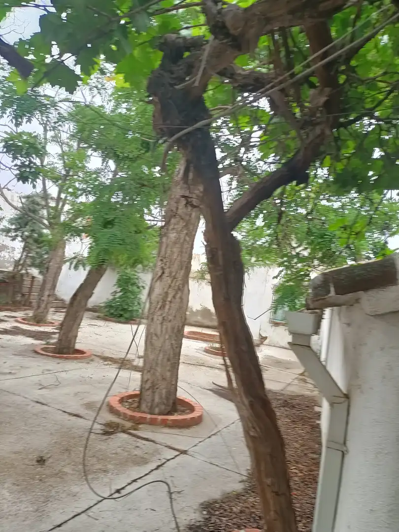 Casa o chalet en venta en Mascaraque con Piscina